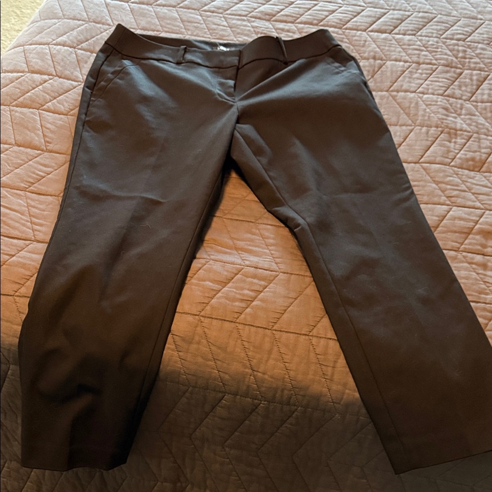 NWOT Loft petite dress pants